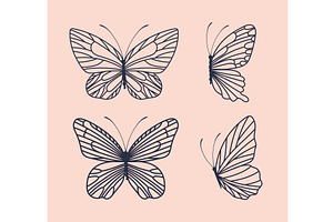 four cute butterflies, an Animal Illustration by studiogstock