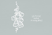 Whimsical Floral: 70 illustrations, an Object Graphic by PaperJamLab (Thumbnail 12 of 12)
