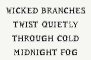 Spooky Forest, a Serif Font by Loudoun Design Co. (Thumbnail 4 of 6)