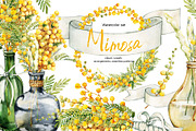 Spring mimosa, watercolor flowers, an Illustration by Artmanata (Thumbnail 1 of 16)