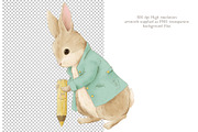 Peter Rabbit Game and clipart, an Education Illustration by AlenaVlasko stock Market (Thumbnail 2 of 7)