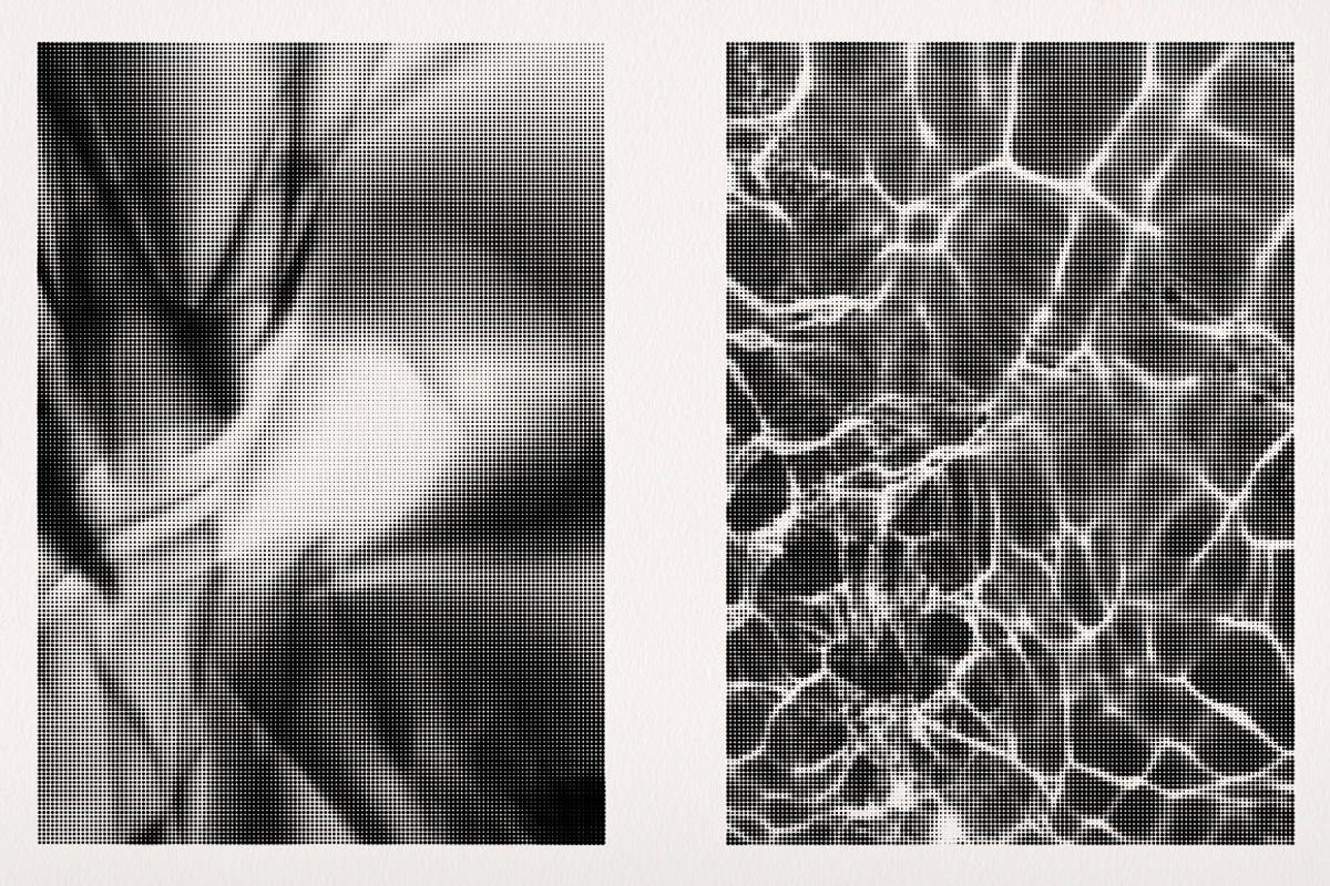 Abstract Halftones 02 - Vector & PNG, a Texture Graphic by Offset (Photo 2 of 16)