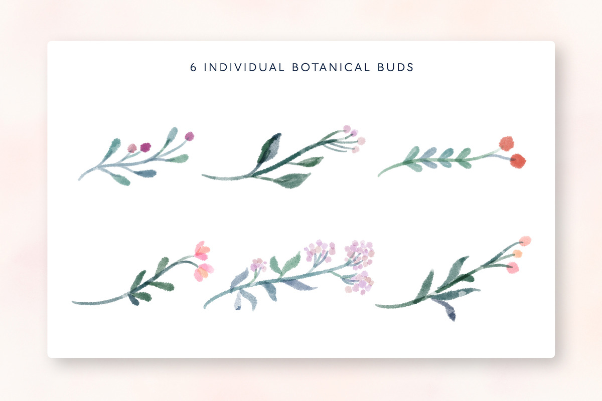 The Dainty Botanical Crest Creator, an Illustration by Ashley DeMeyere (Photo 3 of 9)