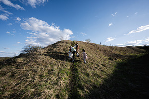 Family of children climbing a grassy hill on a sunny day enjoying outdoor play, a Person Photo by AS photostudio