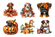 Watercolor Autumn Dog Clipart, an Illustration by Daily.Designs (Thumbnail 5 of 5)