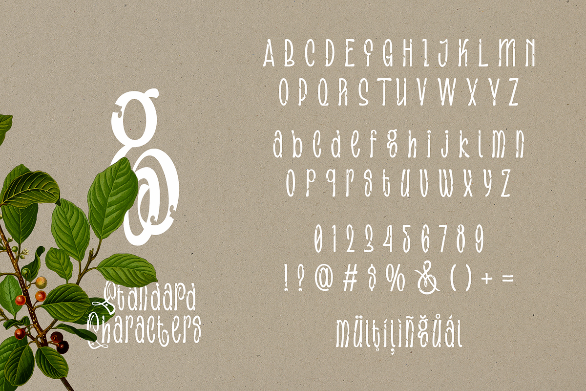 Focasino - Handwritten Font, a Handwritten Font by TypeClassHeroes (Photo 5 of 10)