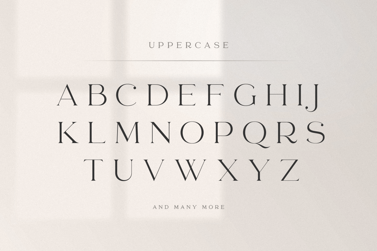 abigail - unique ligature font, a Serif Font by Sensatype (Photo 19 of 32)