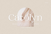Vestige Harmony, a Serif Font by Attract Studio (Thumbnail 3 of 14)