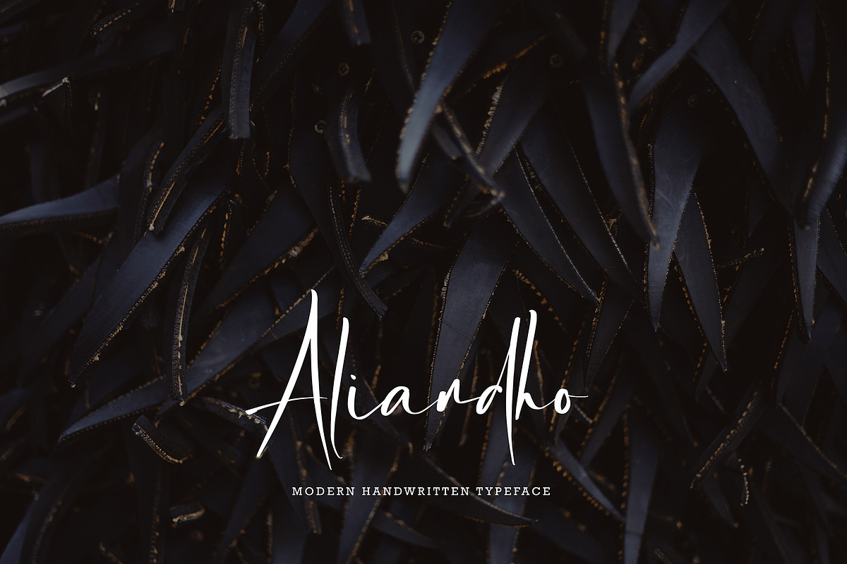 Hapster, a Script Font by pineungtype (Photo 5 of 8)