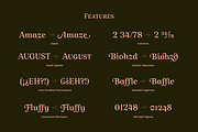 Allust Italic Font, a Serif Font by Halfmoon Type (Thumbnail 10 of 11)