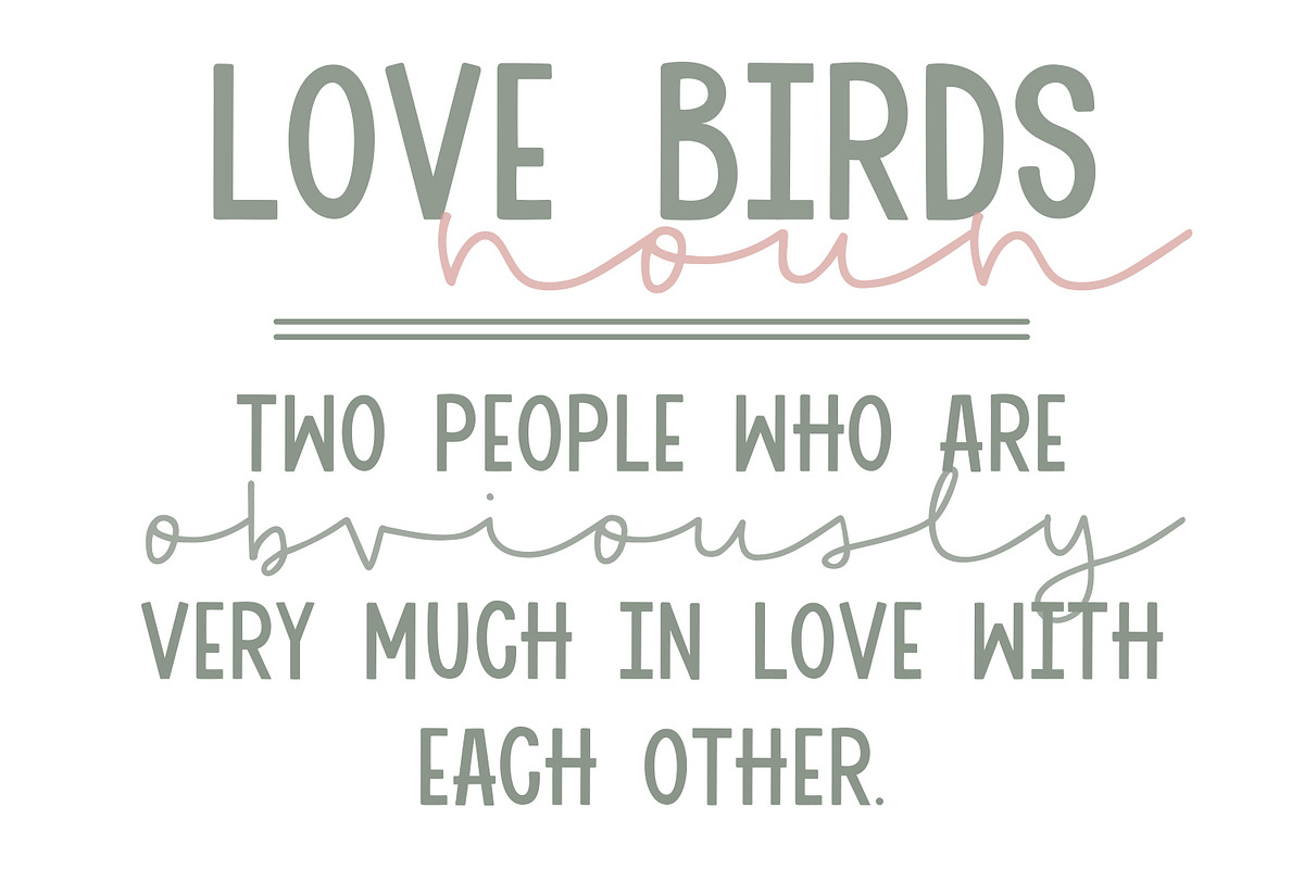 Little Love Birds Font Duo, a Script Font by Dansie Design (Photo 6 of 7)