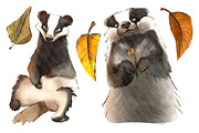 Badger Clipart PNG - Magic Forest, an Animal Illustration by Lenninator Digital (Thumbnail 3 of 8)