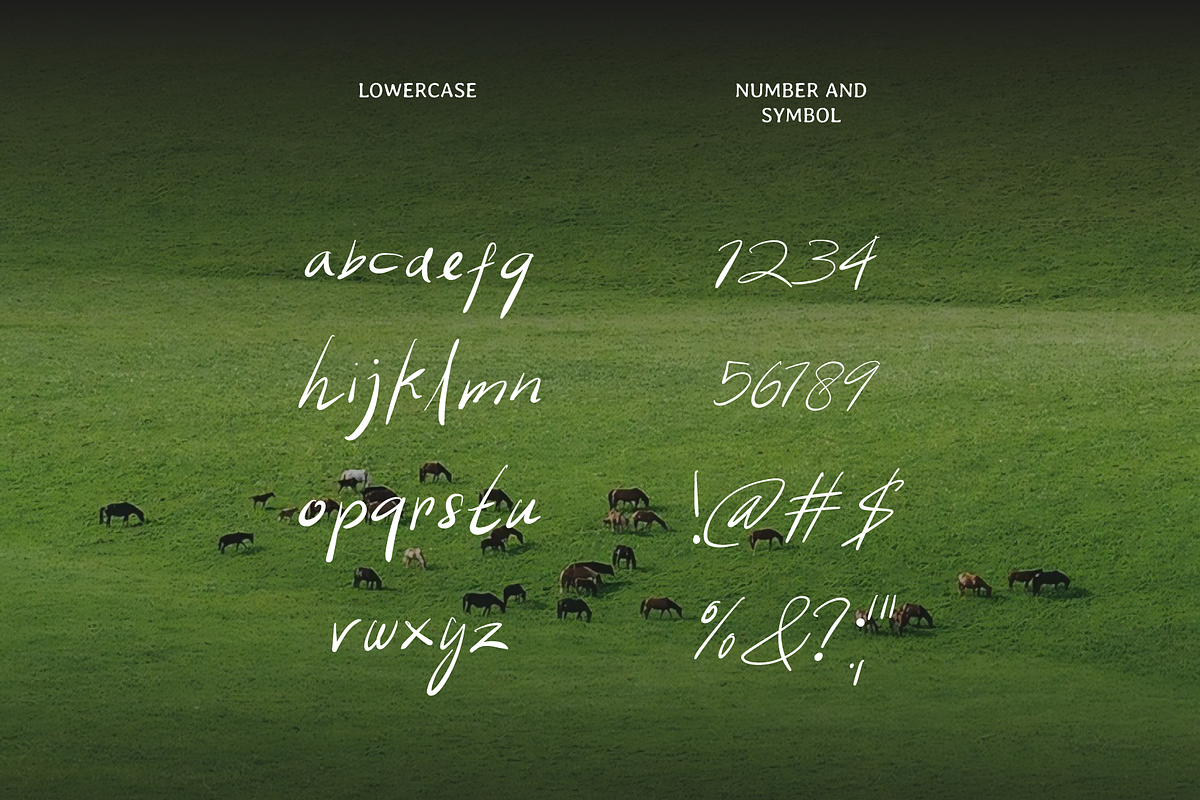 Of Week Script, a Handwritten Font by Fourshape (Photo 4 of 7)