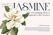 Maglift Elegant Serif Font, a Serif Font by Perfectype (Thumbnail 4 of 8)
