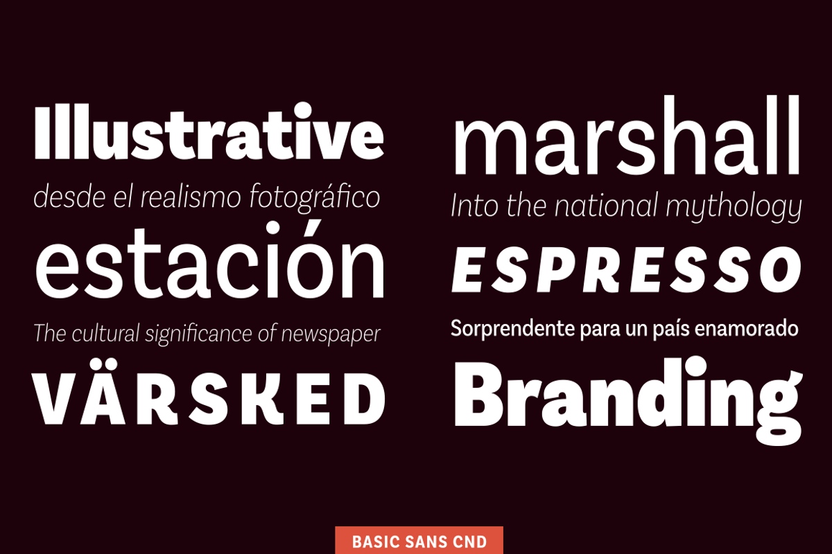 Basic Sans Cnd preview 2