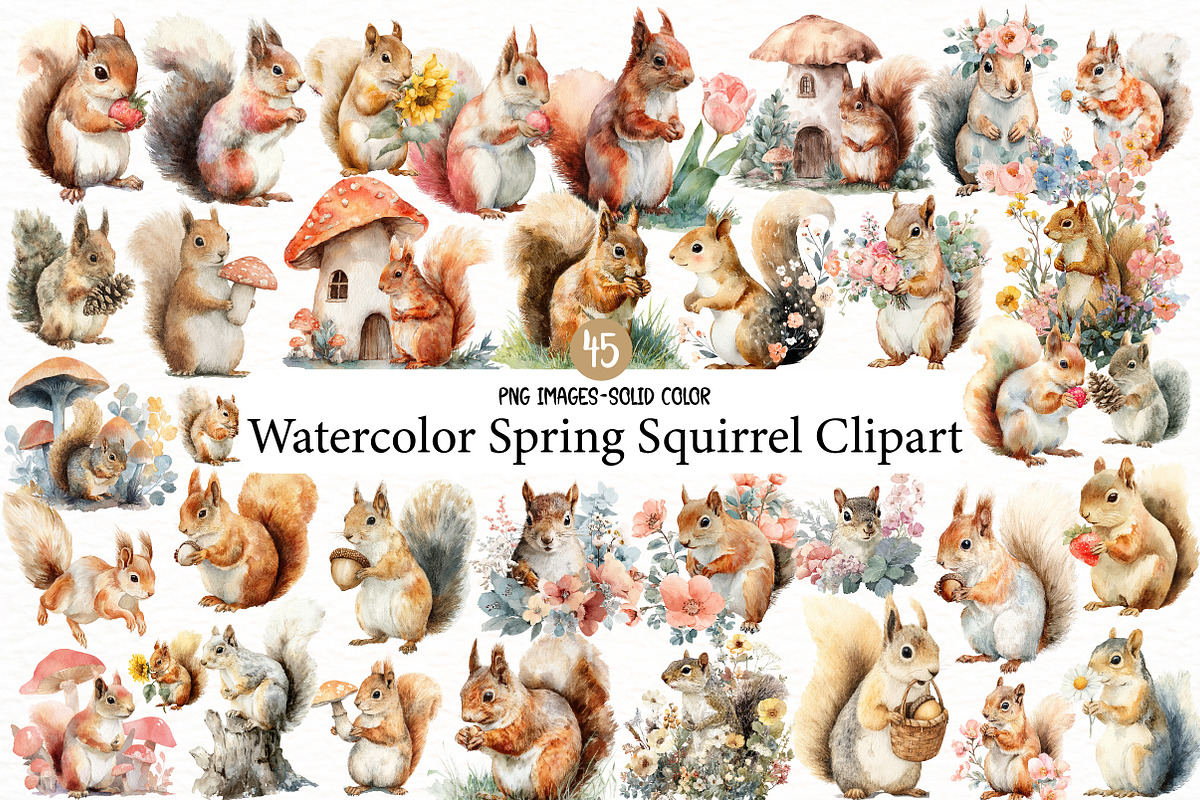 Watercolor Spring Squirrel Clipart, an Illustration by Designworld (Photo 1 of 6)