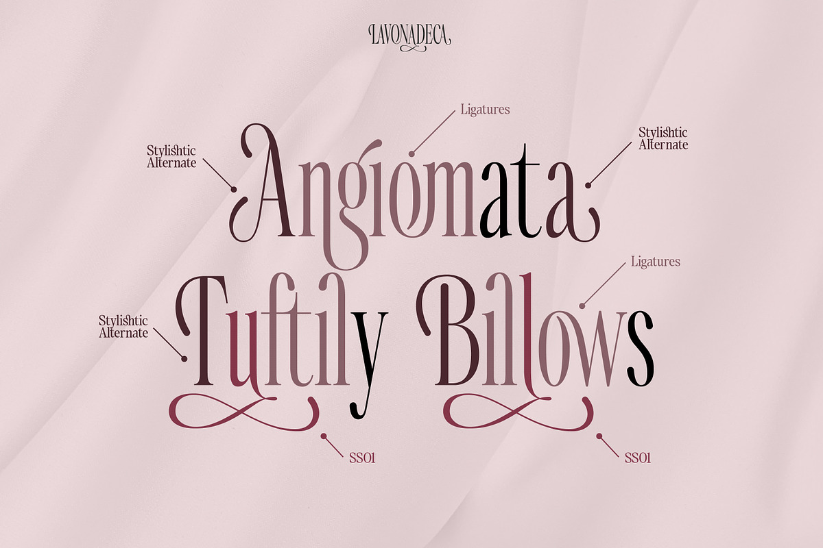 SS Lavonadeca - Flourish Serif Font, a Serif Font by Typocracy Studio (Photo 5 of 15)
