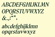 Gertrude - An Ornamental Serif, a Font by Press & Pen (Thumbnail 9 of 9)