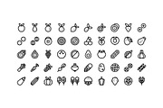 50 Fruit and Vegetable Icons, an Outline Icon by Side Project (Thumbnail 2 of 7)