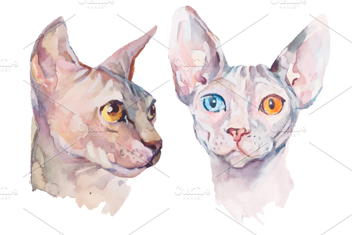 Watercolor Sphynx Cats Set, an Illustration by Elizaveta (Photo 4 of 5)