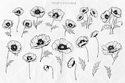 Poppy Flowers Line Art SVG, an Object Graphic by Dervik Art Store (Thumbnail 3 of 7)