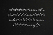 Jasmine Rosemary Handwritten Font, a Handwritten Font by UICreative (Thumbnail 11 of 13)