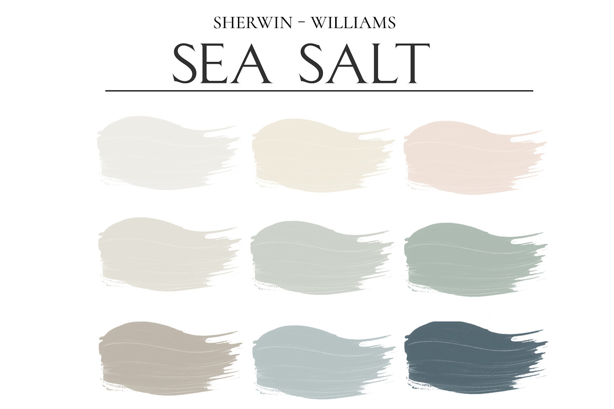 Sea Salt SW 6204 Home Paint Palette, a Presentation Template by CONCEPT COLORS (Photo 2 of 9)