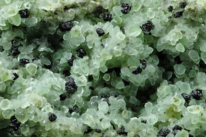 Prehnite with epidote texture, a Nature Photo by Mockup Bureau