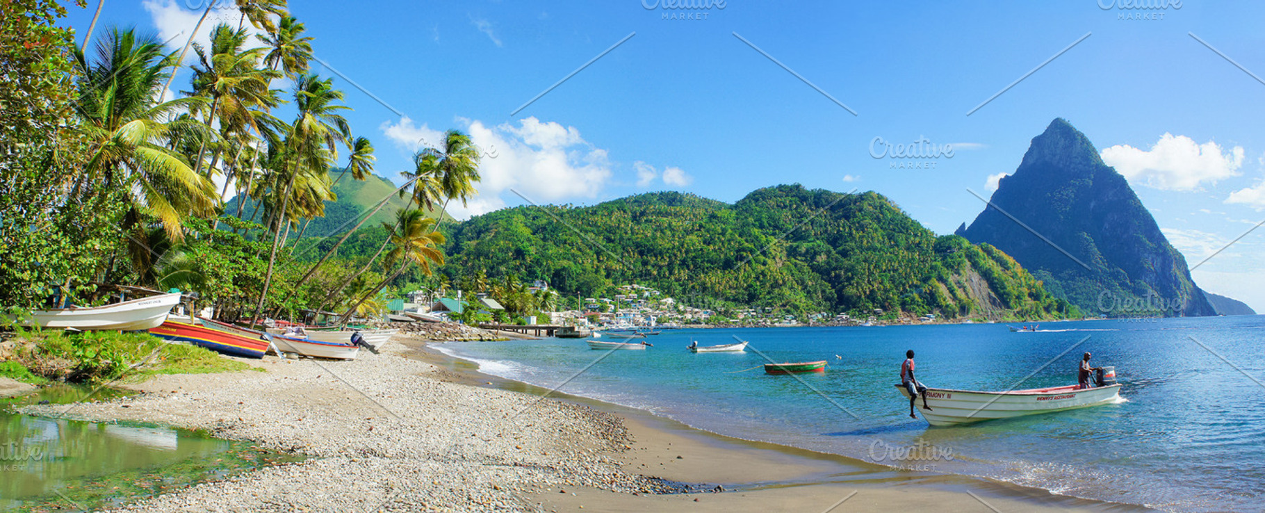 Paradise Living