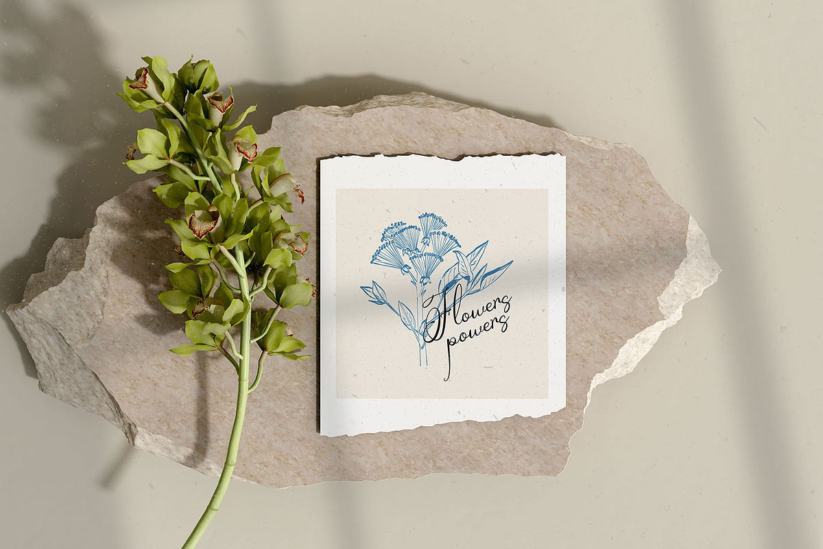 Aesthetics Flower | Illustration Kit, a Decorative Illustration by KetteCreate (Photo 2 of 19)
