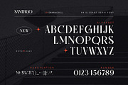 Santiago Vintage Serif Font, a Serif Font by Graphicxell (Thumbnail 10 of 10)
