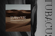 Levelly Luxury Premium Serif Font, a Serif Font by Artiveko (Thumbnail 6 of 9)