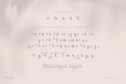 Eveliana - Lovely Script Font, a Script Font by Pixesia Studio (Thumbnail 10 of 10)