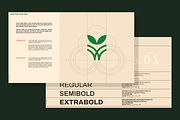 AGRIZEN | Brand Guidelines Template, a Branding & Logo Template by shaondesigns (Thumbnail 4 of 7)