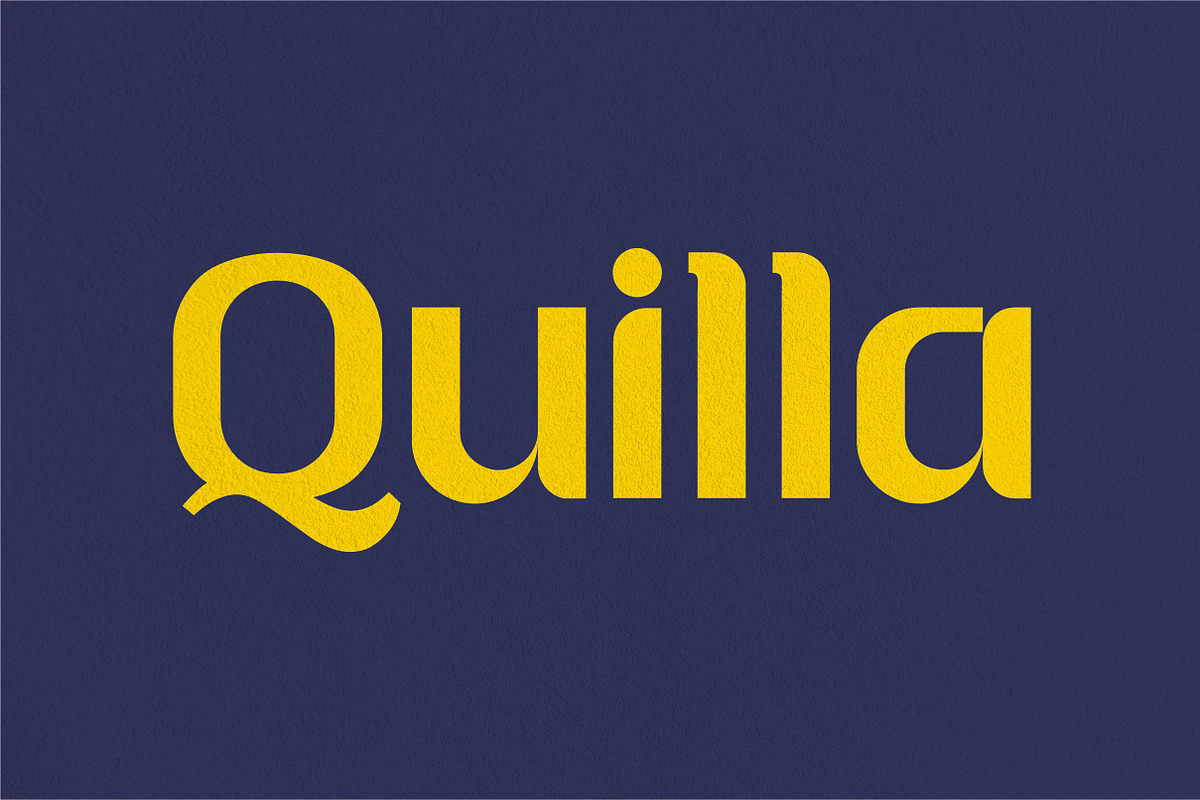 Mini-Pack Display Font Bundel+ Bonus, a Font by Bagerich Type Foundry (Photo 4 of 11)