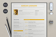 X pro Resume, a Resume Template by sz81 (Thumbnail 1 of 6)