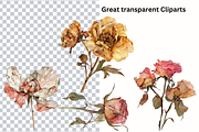 Dried Pressed Flowers Illustration, a Decorative Illustration by Paper Artsthetics (Thumbnail 2 of 4)