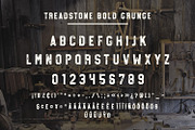 Treadstone - 8 Font Family, a Slab Serif Font by Greg Nicholls (Thumbnail 12 of 16)