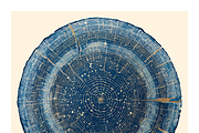 Natt Collection · Organic Tree Rings, a Texture Illustration by milatovar (Thumbnail 9 of 19)