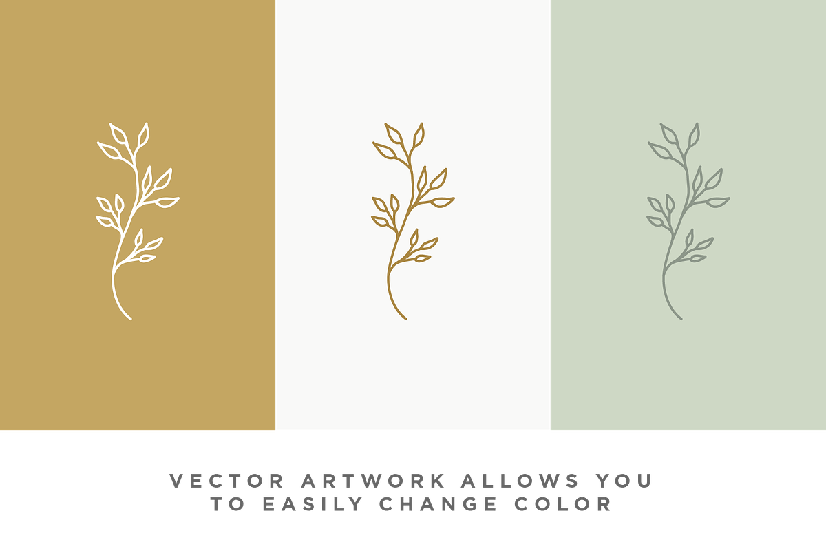 Botanical Elements Set 1, an Illustration by CojoMoxon (Photo 6 of 9)
