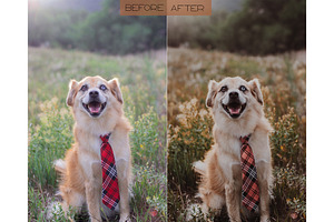 15 Earthy Lightroom Presets