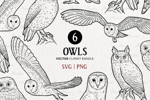 Owl Vector Line Art Set, an Illustration by MadliArt