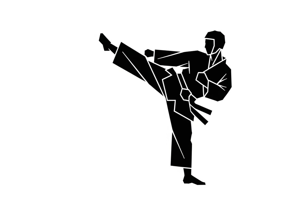 Dynamic martial arts kick silhouette, an Illustration by Amazin_art (Photo 30 of 36)