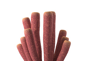 Purple Tube Sponges