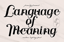 Language of Meaning - Elegant Font