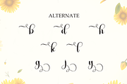 Hey Sunflower | Script Font, a Handwritten Font by Scratchones (Thumbnail 8 of 9)