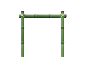 Bamboo Frame