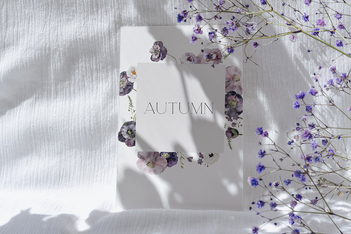 NEW! Dusty Violet collection, a Decorative Illustration by Youksy (Photo 7 of 11)