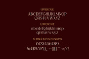 Saint Paris - Elegant Serif Typeface, a Serif Font by AN Productions (Thumbnail 3 of 9)