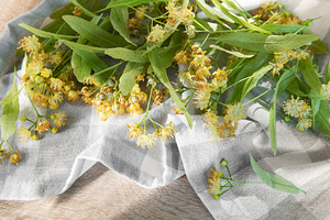Linden flowers and leaves on a textile napkin, a Nature Photo by Olena Rudo
